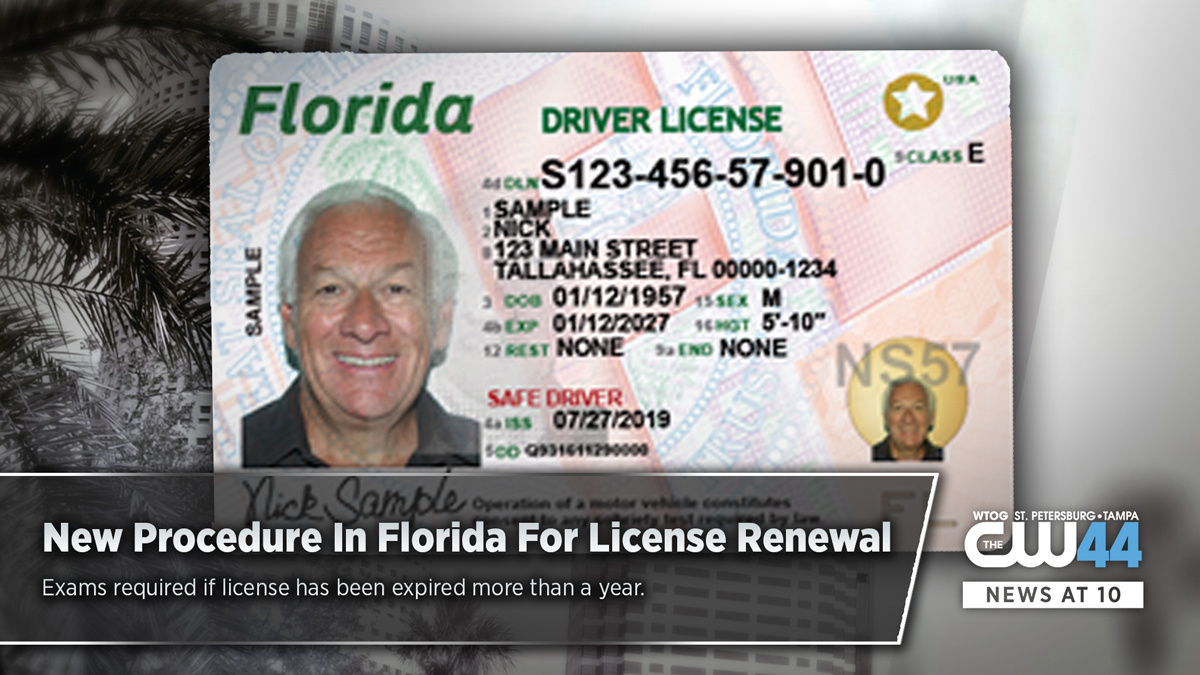 drivers license check in florida