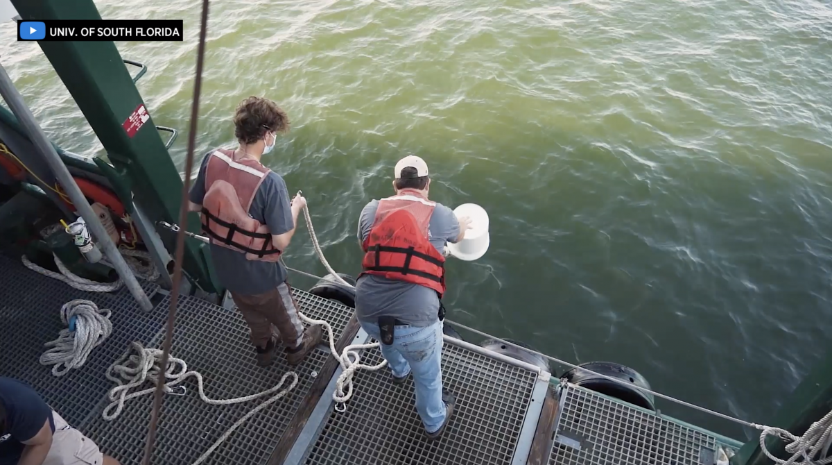 Researchers Launch ‘Rapid-Response Team’ To Track Environmental Impacts Of Piney Point Leak