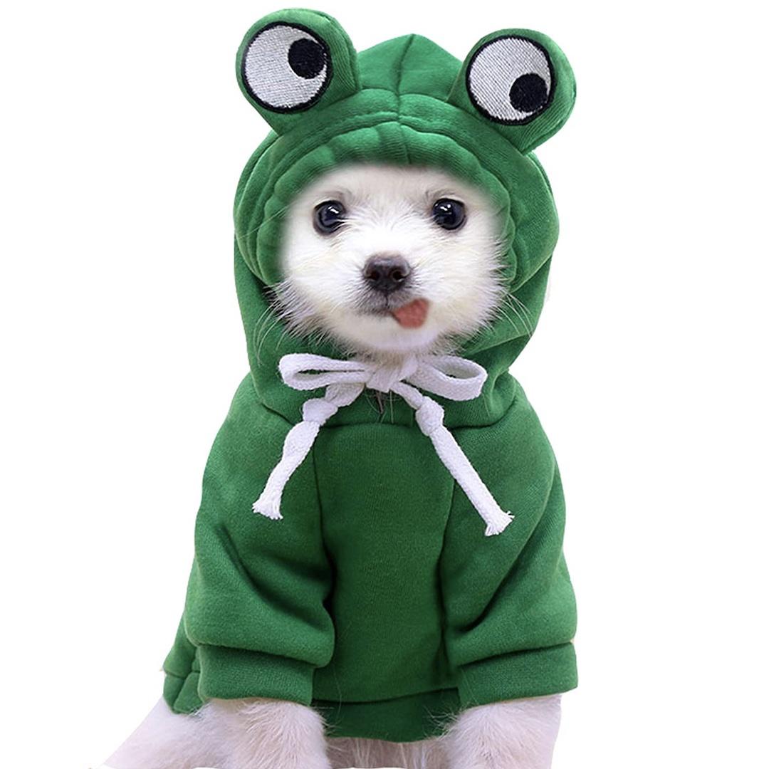 Hooded frog dog costume