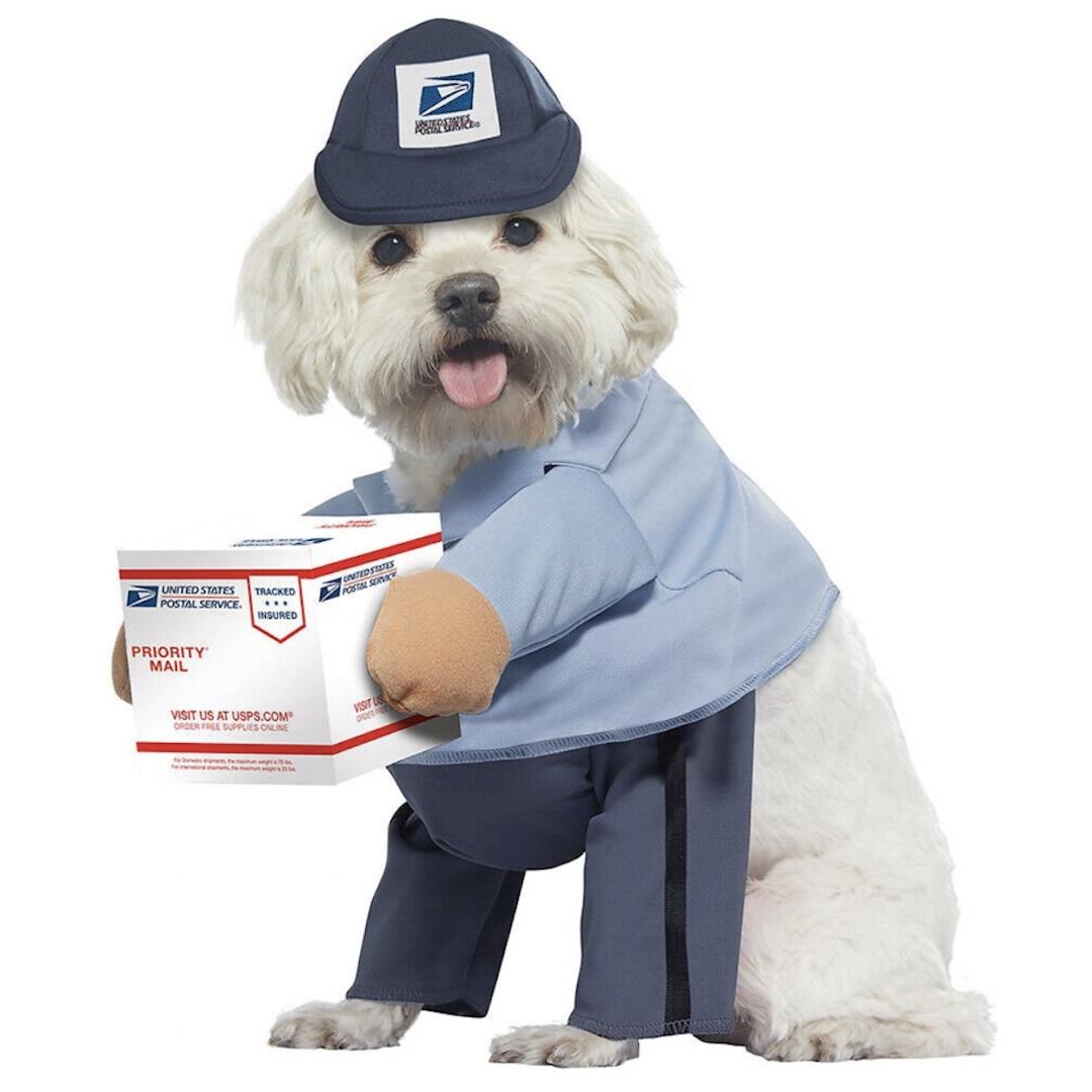 USPS mailman dog costume