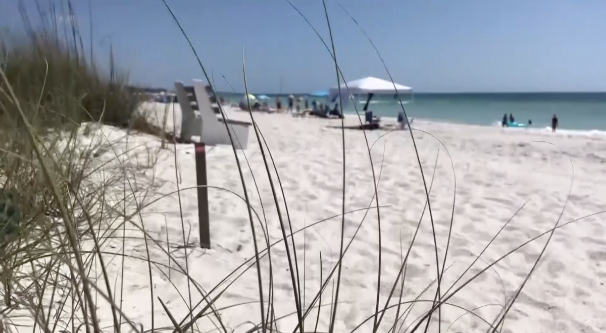 Environmental Groups Clean Up Beaches For World Oceans Day – CBS Tampa