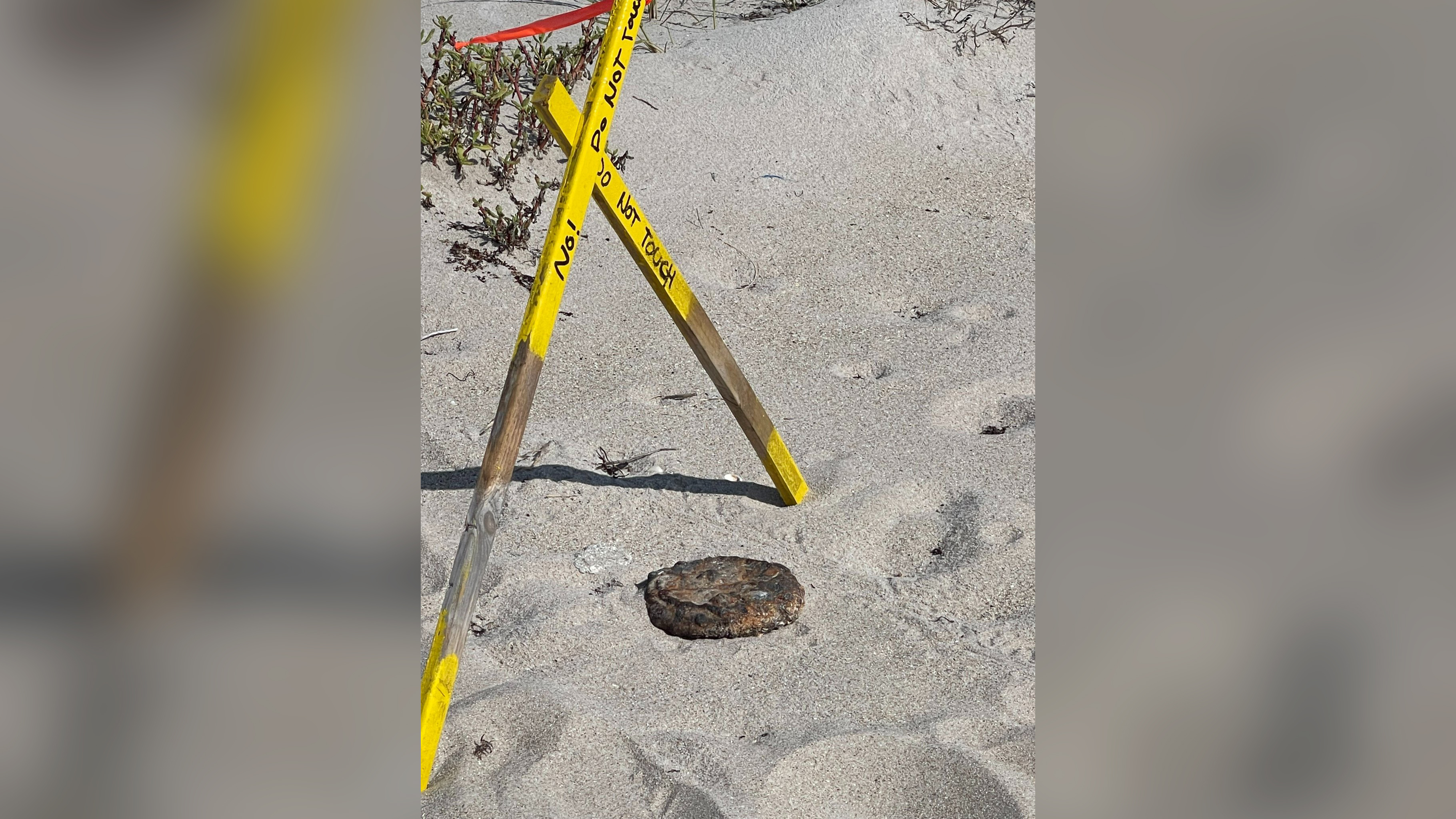 A Suspected Land Mine Was Removed From Florida Beach – CBS Tampa