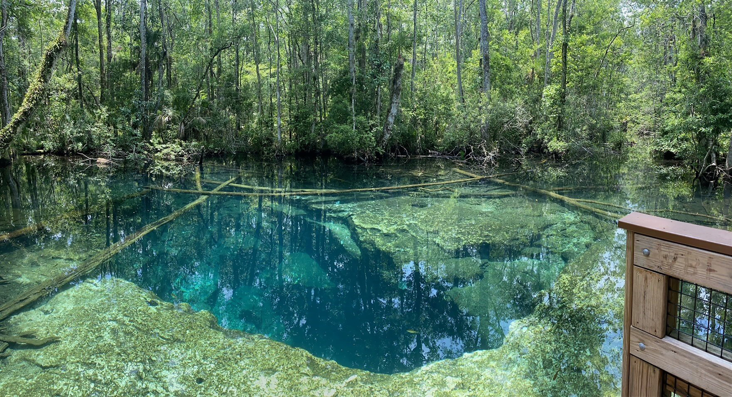 Hernando County Sheriff’s Office Are Investigating The Deaths Of Two Cave Divers